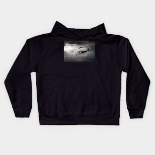 Lancaster Storm Kids Hoodie